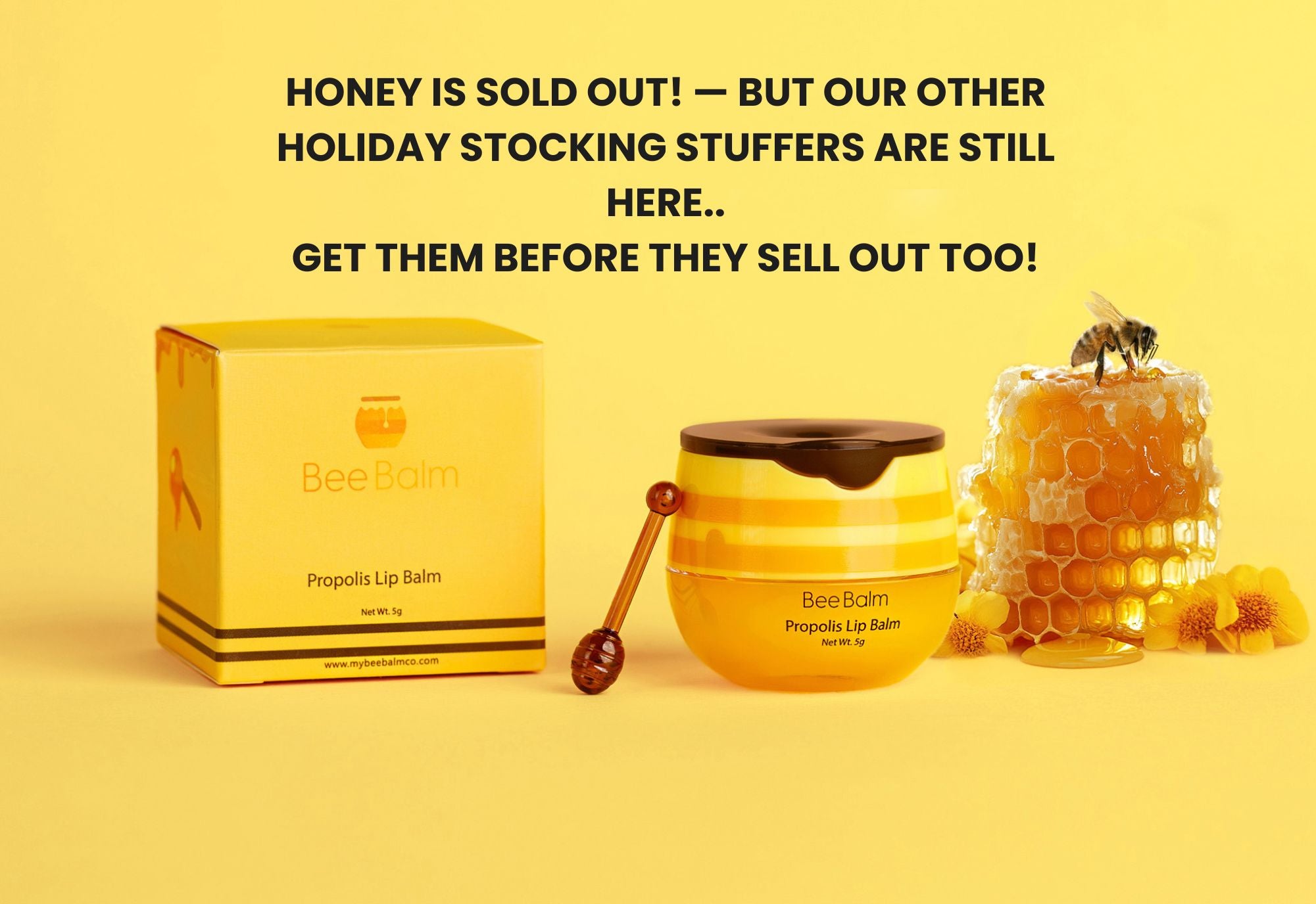 Bienenbalsam - Sonderangebot