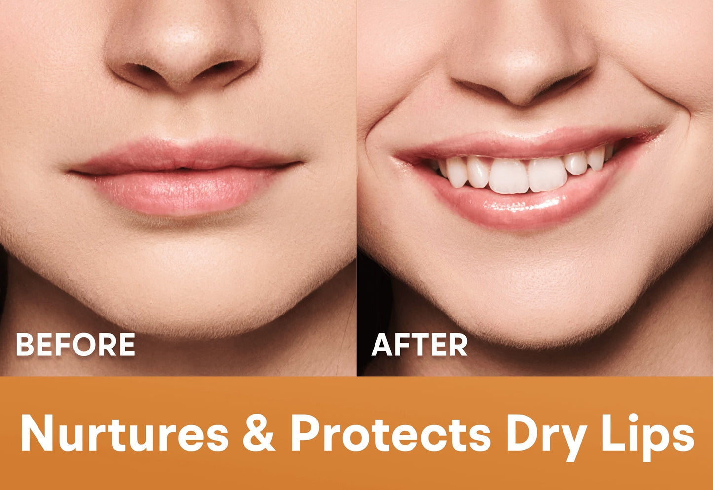 Sugar Cookie - Limited Edition