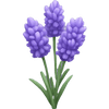 Lavender - Limited Edition